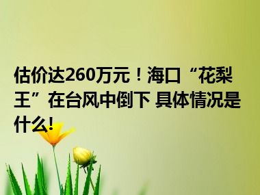 估价达260万元！海口“花梨王”在台风中倒下 具体情况是什么!