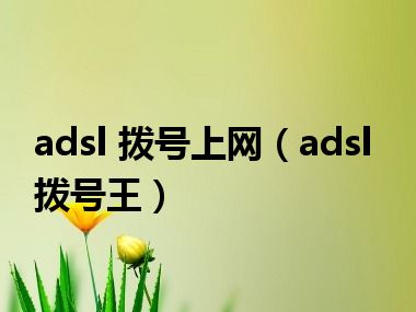 adsl 拨号上网（adsl拨号王）