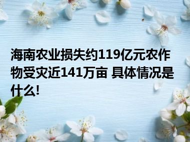 海南农业损失约119亿元农作物受灾近141万亩 具体情况是什么!