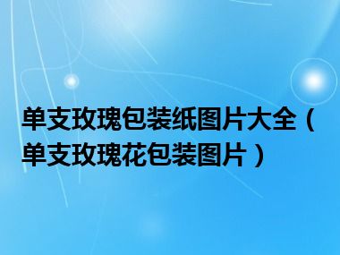 单支玫瑰包装纸图片大全（单支玫瑰花包装图片）