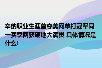 辛纳职业生涯首夺美网单打冠军同一赛季两获硬地大满贯 具体情况是什么!