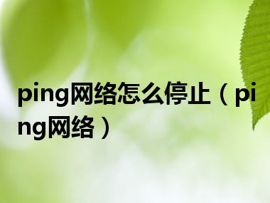 ping网络怎么停止（ping网络）