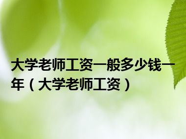 大学老师工资一般多少钱一年（大学老师工资）