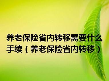 养老保险省内转移需要什么手续（养老保险省内转移）