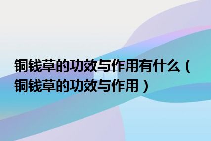 铜钱草的功效与作用有什么（铜钱草的功效与作用）