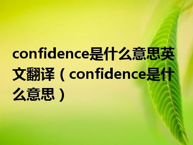 confidence是什么意思英文翻译（confidence是什么意思）