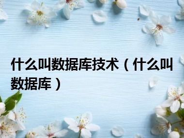 什么叫数据库技术（什么叫数据库）