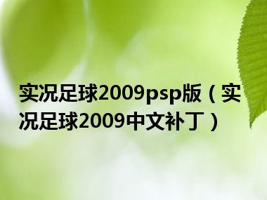 实况足球2009psp版（实况足球2009中文补丁）