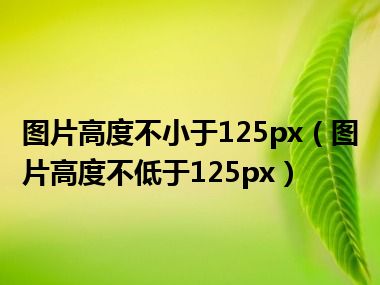 图片高度不小于125px（图片高度不低于125px）