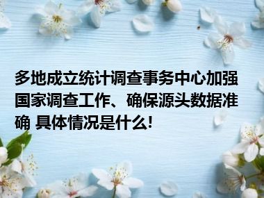 多地成立统计调查事务中心加强国家调查工作、确保源头数据准确 具体情况是什么!