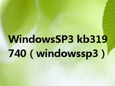 WindowsSP3 kb319740（windowssp3）