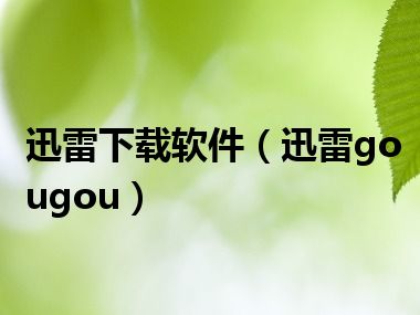 迅雷下载软件（迅雷gougou）