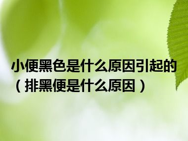 小便黑色是什么原因引起的（排黑便是什么原因）