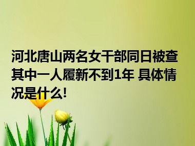 河北唐山两名女干部同日被查其中一人履新不到1年 具体情况是什么!