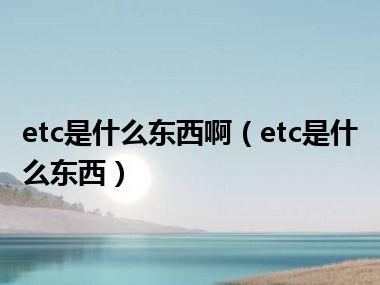 etc是什么东西啊（etc是什么东西）