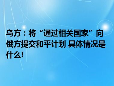 乌方：将“通过相关国家”向俄方提交和平计划 具体情况是什么!