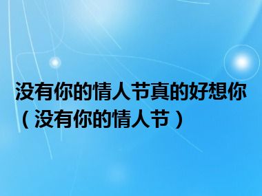 没有你的情人节真的好想你（没有你的情人节）