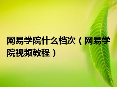 网易学院什么档次（网易学院视频教程）