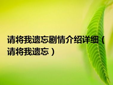 请将我遗忘剧情介绍详细（请将我遗忘）