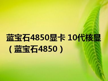 蓝宝石4850显卡 10代核显（蓝宝石4850）