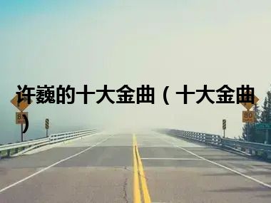 许巍的十大金曲（十大金曲）