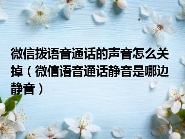 微信拨语音通话的声音怎么关掉（微信语音通话静音是哪边静音）