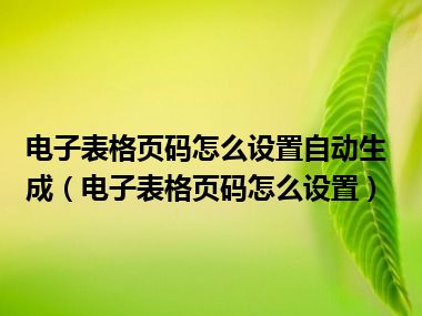 电子表格页码怎么设置自动生成（电子表格页码怎么设置）