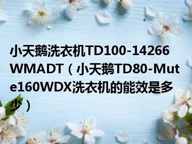 小天鹅洗衣机TD100-14266WMADT（小天鹅TD80-Mute160WDX洗衣机的能效是多少）