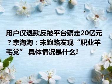 用户仅退款反被平台薅走20亿元？京淘淘：未跑路发现“职业羊毛党” 具体情况是什么!