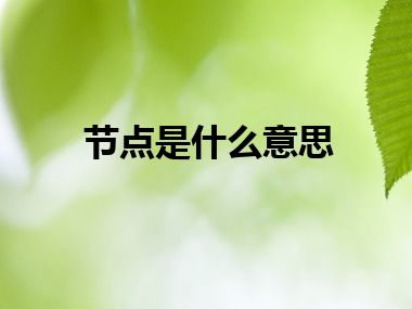 节点是什么意思