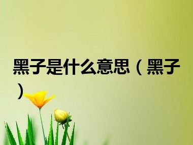 黑子是什么意思（黑子）