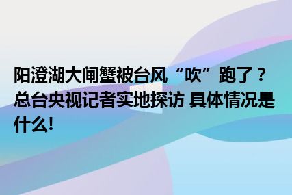 阳澄湖大闸蟹被台风“吹”跑了？总台央视记者实地探访 具体情况是什么!