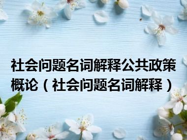 社会问题名词解释公共政策概论（社会问题名词解释）