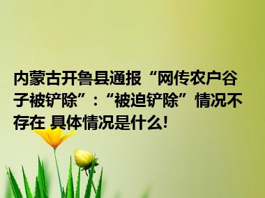 内蒙古开鲁县通报“网传农户谷子被铲除”:“被迫铲除”情况不存在 具体情况是什么!