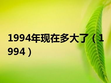 1994年现在多大了（1994）