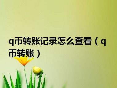 q币转账记录怎么查看（q币转账）