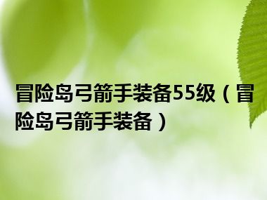 冒险岛弓箭手装备55级（冒险岛弓箭手装备）