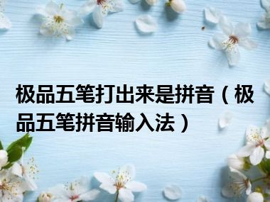 极品五笔打出来是拼音（极品五笔拼音输入法）