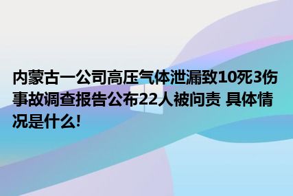 内蒙古一公司高压气体泄漏致10死3伤事故调查报告公布22人被问责 具体情况是什么!