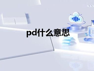 pd什么意思