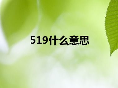 519什么意思