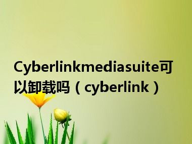 Cyberlinkmediasuite可以卸载吗（cyberlink）