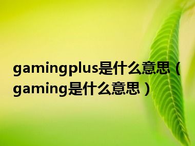 gamingplus是什么意思（gaming是什么意思）