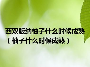 西双版纳柚子什么时候成熟（柚子什么时候成熟）