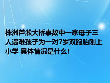 株洲芦淞大桥事故中一家母子三人遇难孩子为一对7岁双胞胎刚上小学 具体情况是什么!