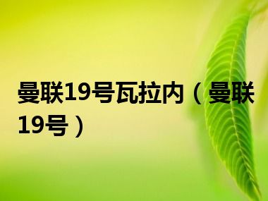 曼联19号瓦拉内（曼联19号）