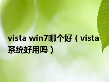 vista win7哪个好（vista系统好用吗）