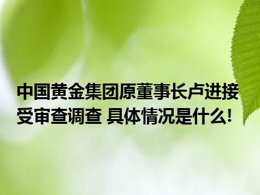 中国黄金集团原董事长卢进接受审查调查 具体情况是什么!