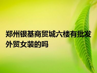 郑州银基商贸城六楼有批发外贸女装的吗