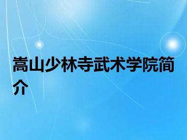 嵩山少林寺武术学院简介